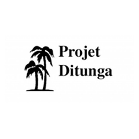 Proyecto Ditunga
